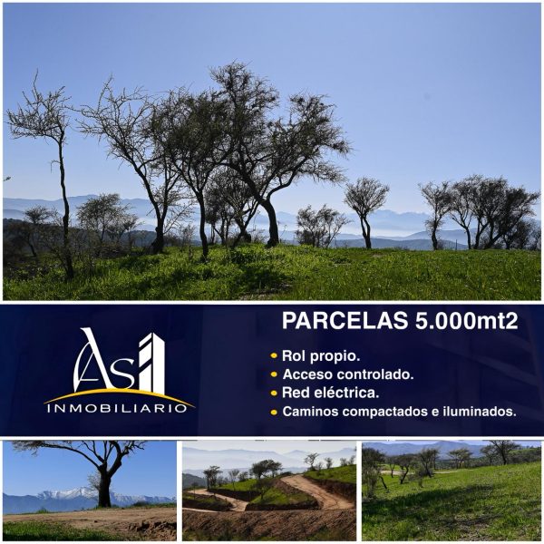 WhatsApp Image 2025-10-20 at 12.43.37 PM (1)